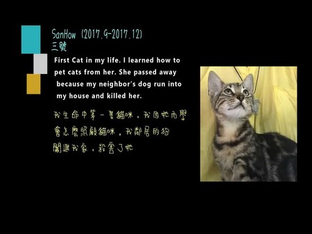 Tigey's Gift screenshot 12