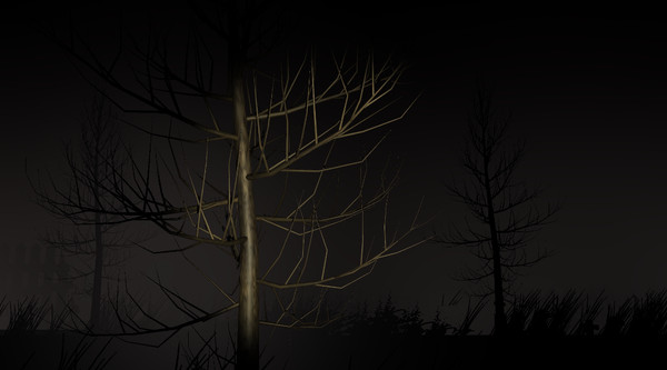 Mysterious Night (The First Night) screenshot 1