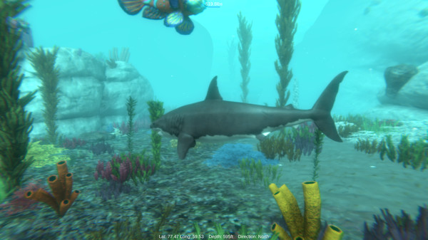 Alpha Shark screenshot 1