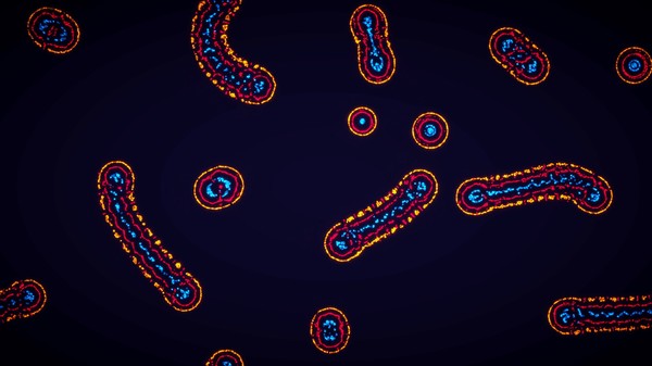 Parametric Creature: Lab screenshot 3