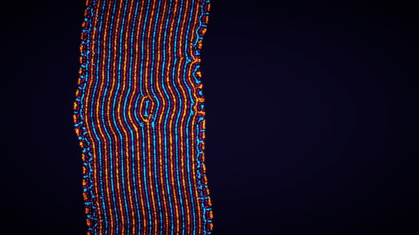 Parametric Creature: Lab screenshot 6