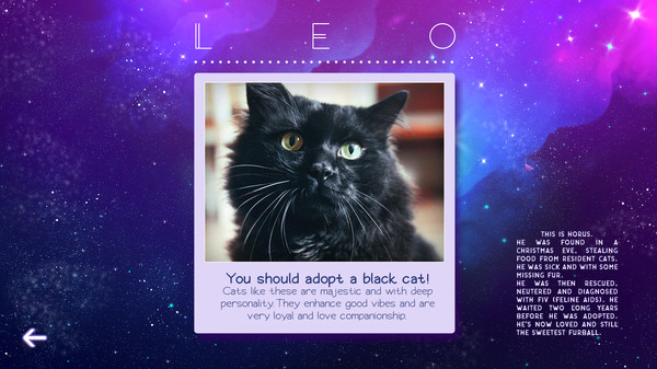 Zodiacats screenshot 6