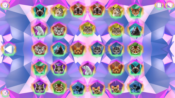 Poly Memory: Cats screenshot 1