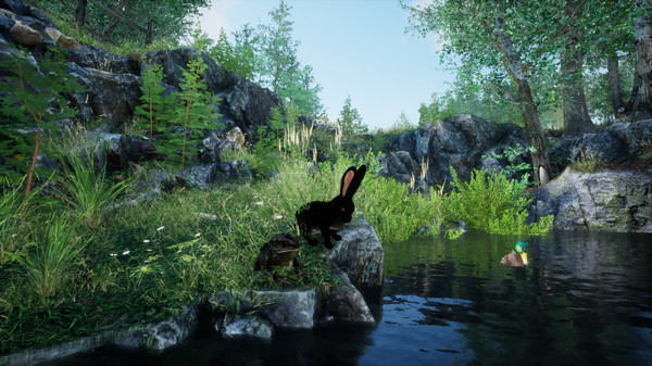Rabbit Meadow screenshot 2