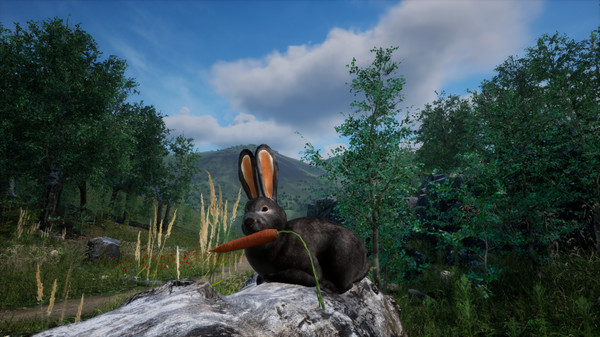 Rabbit Meadow screenshot 6