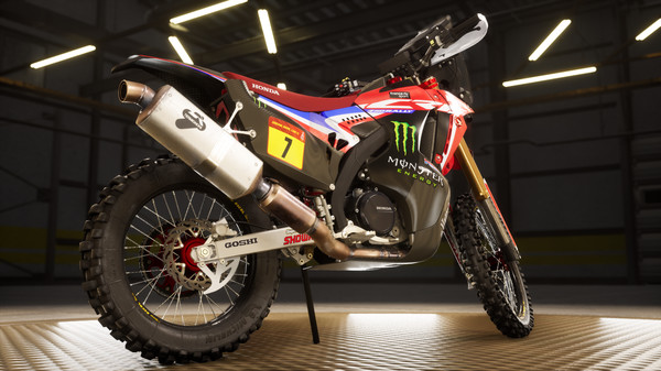 Dakar Desert Rally screenshot 5