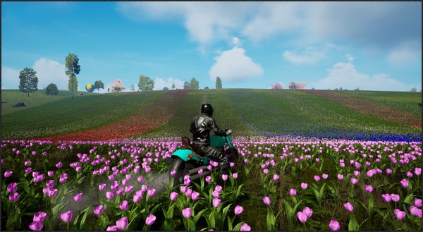 Motorcycle Travel Simulator screenshot 0