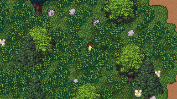 Island Berry screenshot 7