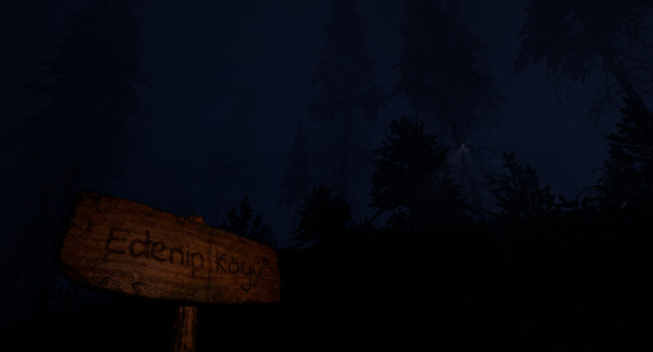 V696 screenshot 0