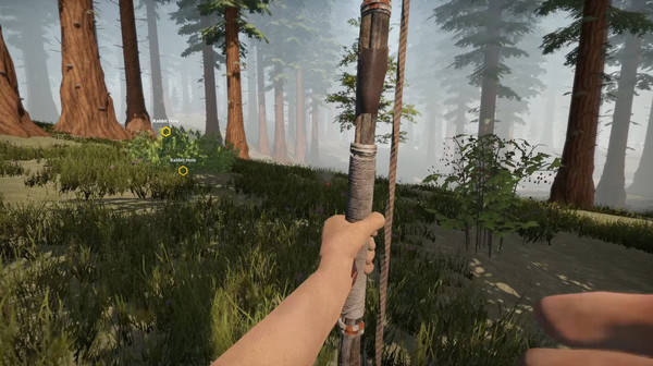 Missing Plane: Survival screenshot 3