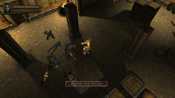 Baldur's Gate: Dark Alliance II screenshot 10