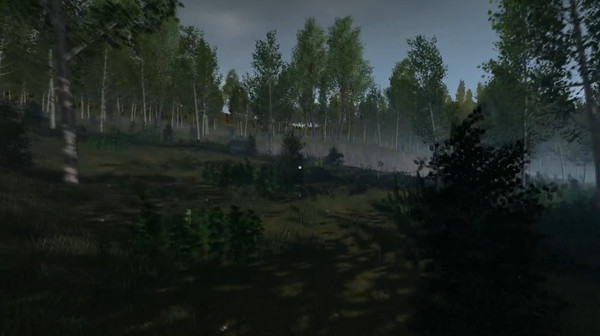 ENDGAME: Survival screenshot 1