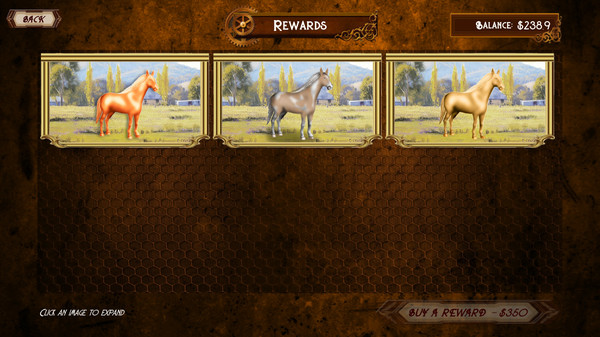Cruise Ship Horse Racing screenshot 5