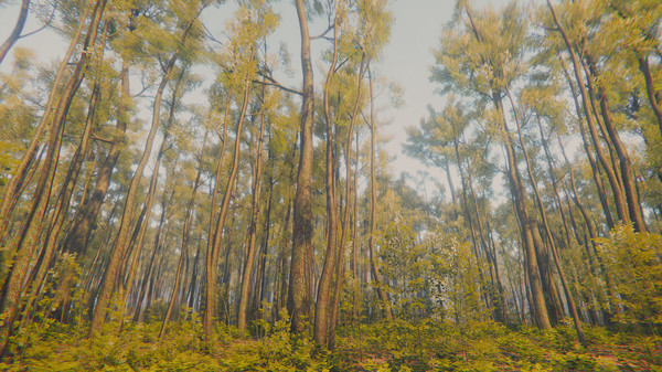 Mindfulness Simulator - ASMR Meditation Game screenshot 8