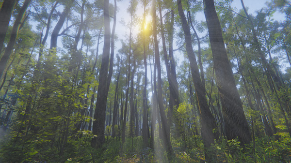 Mindfulness Simulator - ASMR Meditation Game screenshot 12
