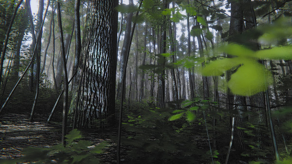 Mindfulness Simulator - ASMR Meditation Game screenshot 10