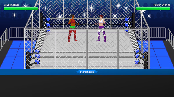 Championship Wrestling Promoter screenshot 6