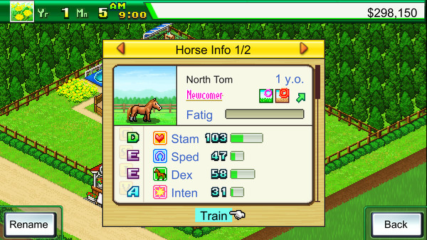 Pocket Stables screenshot 2