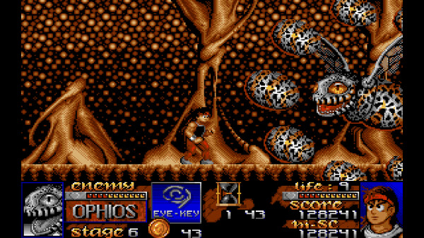 Risky Woods screenshot 1