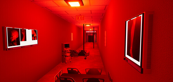 BrVR Backrooms Virtual Reality screenshot 3