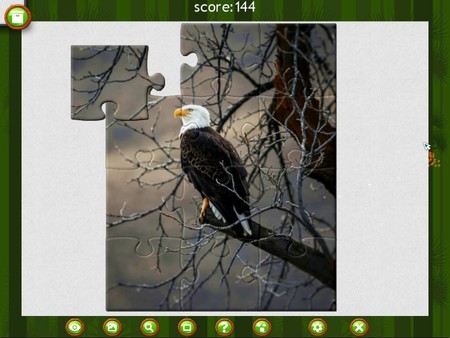 1001 Jigsaw. Wild Animals screenshot 5