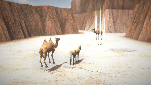 Horse and Go Seek screenshot 5