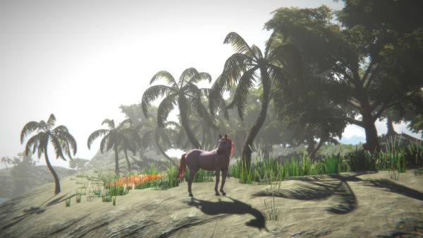 Horse and Go Seek screenshot 1