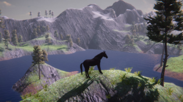 Horse and Go Seek screenshot 7