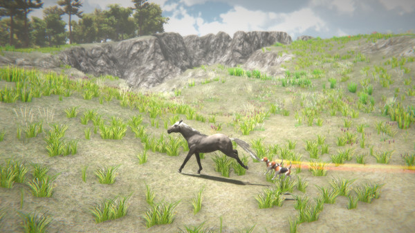 Horse and Go Seek screenshot 4
