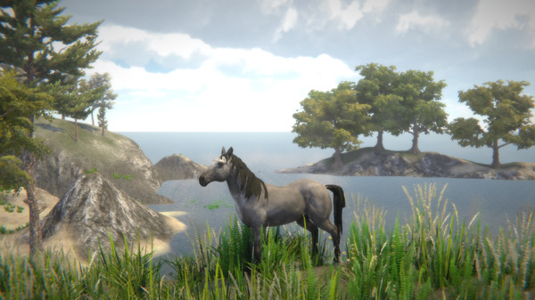 Horse and Go Seek screenshot 9