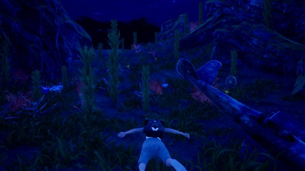 HRD 3 Pegasus Island screenshot 7
