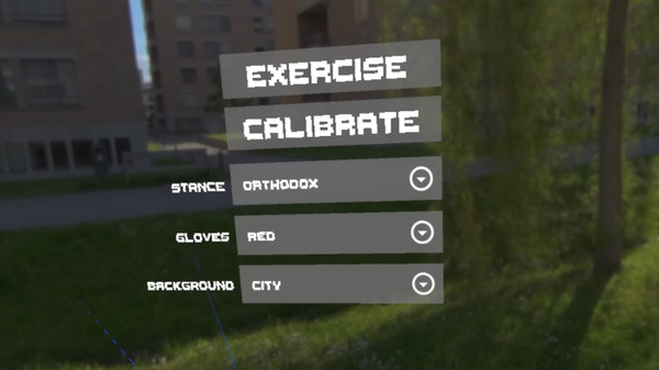 Simple Boxing Drills VR screenshot 3