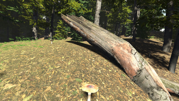Recreation Room screenshot 2