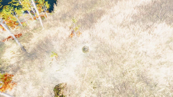 The Ball Flow - Nature and Light screenshot 1