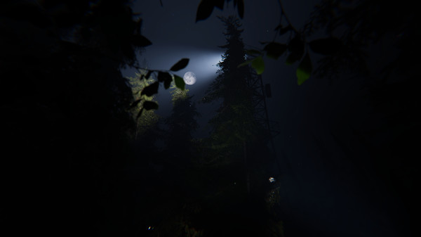 Taiga screenshot 3