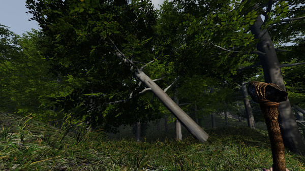 Forlorn screenshot 4