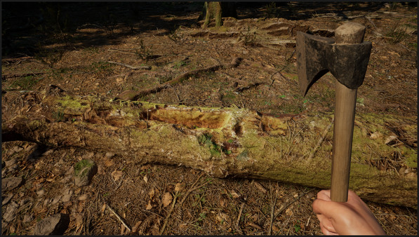 Evergreen - Mountain Life Simulator screenshot 5