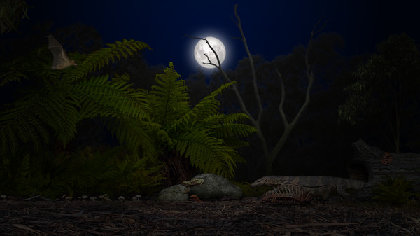 A toad well travelled screenshot 8