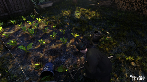 The Testament of Sherlock Holmes screenshot 9