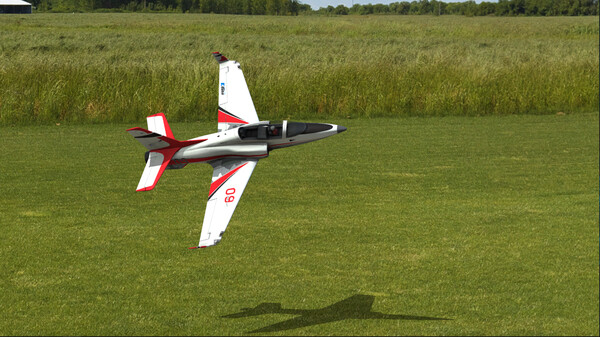RealFlight Evolution screenshot 5