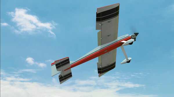 RealFlight Evolution screenshot 4