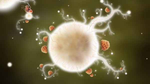 Botanicula screenshot 7