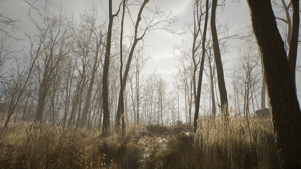 Nowhere: Mysterious Artifacts screenshot 3