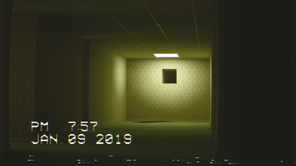 The Backrooms Footage screenshot 4