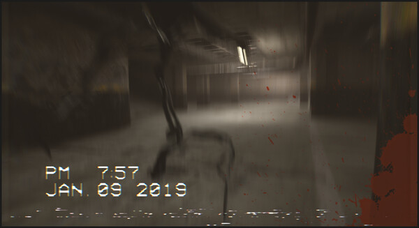 The Backrooms Footage screenshot 11