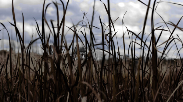 77 Oleander Avenue screenshot 7
