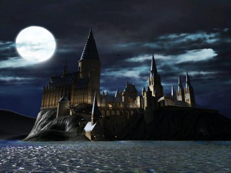 LEGO Harry Potter: Years 1-4 screenshot 9