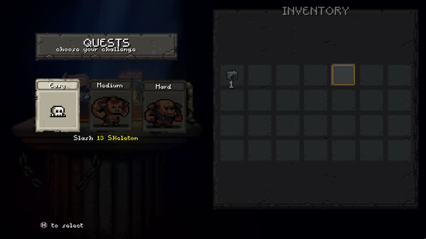Sir Questionnaire screenshot 2