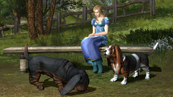 The Lord of the Rings Online screenshot 11
