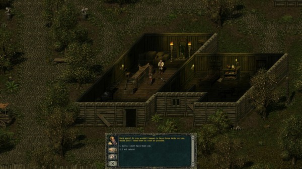 Divine Divinity screenshot 4